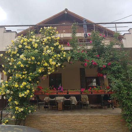 Casa Delia Hotel Calimanesti Exterior photo