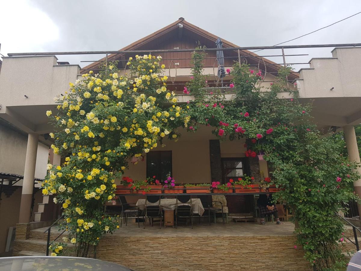 Casa Delia Hotel Calimanesti Exterior photo