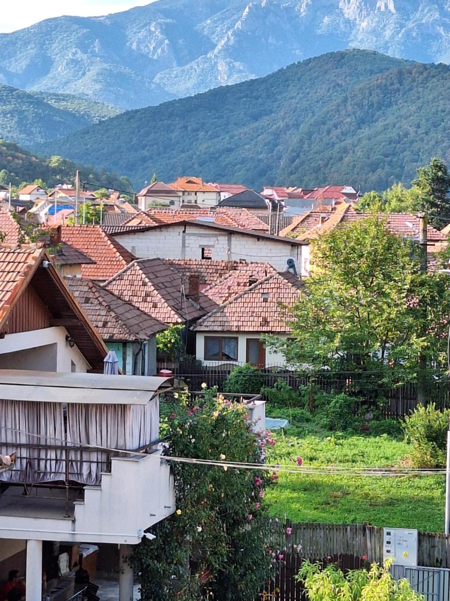 Casa Delia Hotel Calimanesti Exterior photo